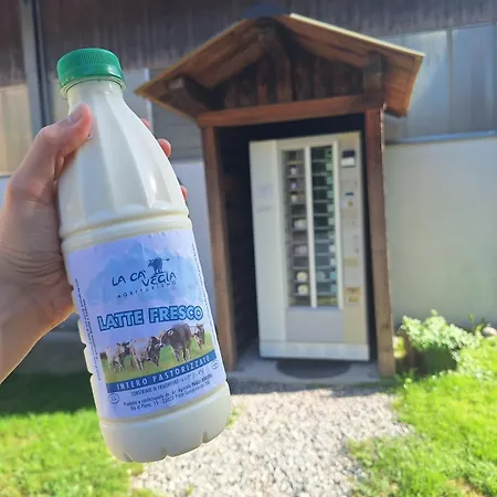 La Ca' Vegia Farm stay *